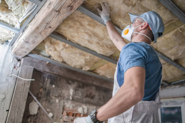 Best Types of Insulation in Rocklin, CA