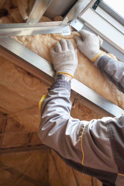 Best Insulation Installation Services in Rocklin, CA